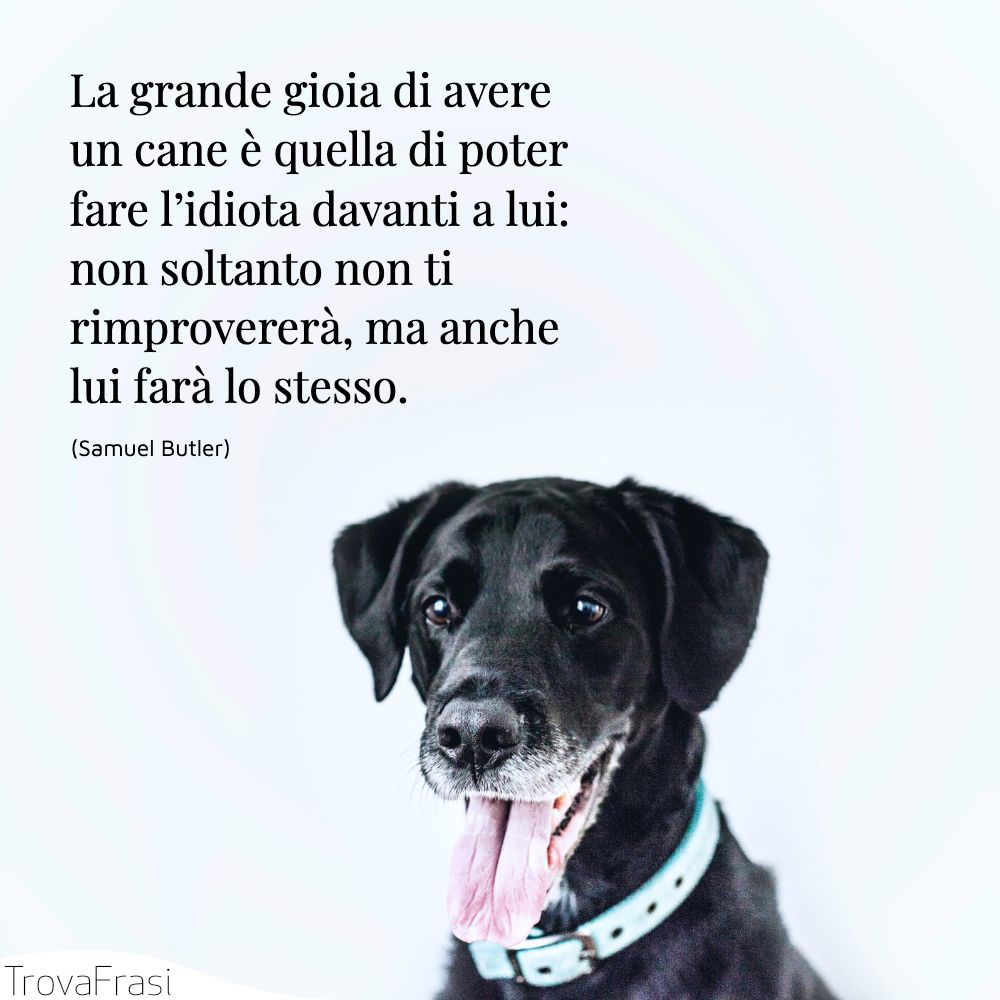 La grande gioia di avere un cane è quella di poter fare l’idiota davanti a lui: non soltanto non ti rimprovererà, ma anche lui farà lo stesso.