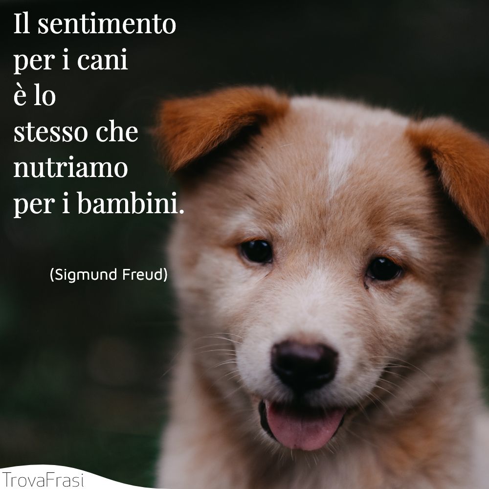 Il sentimento per i cani è lo stesso che nutriamo per i bambini.