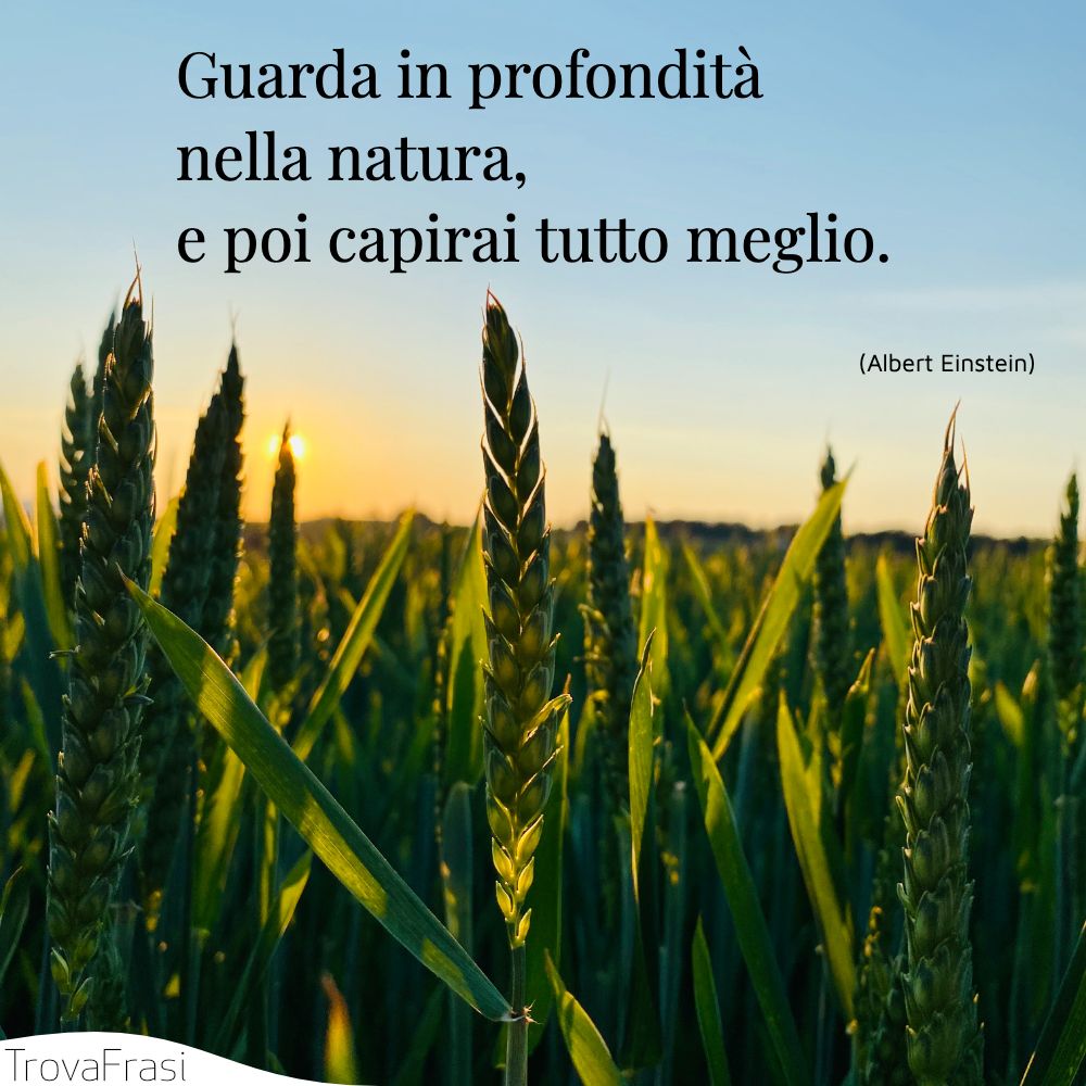 Guarda in profondità nella natura, e poi capirai tutto meglio.