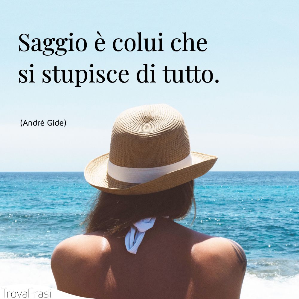 Saggio è colui che si stupisce di tutto.