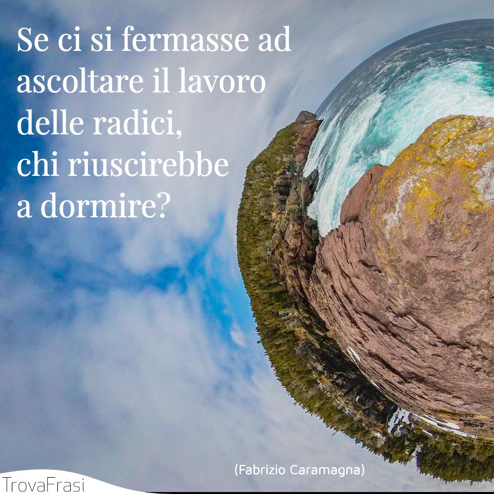 Se ci si fermasse ad ascoltare il lavoro delle radici, chi riuscirebbe a dormire?