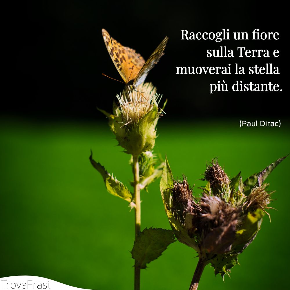 Raccogli un fiore sulla Terra e muoverai la stella più distante.