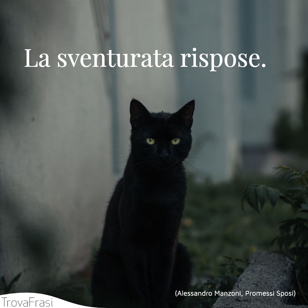 La sventurata rispose.