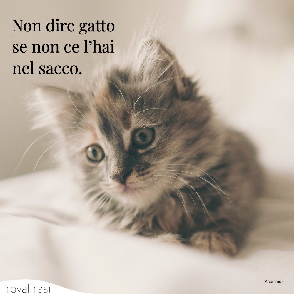 Non dire gatto se non ce l’hai nel sacco.