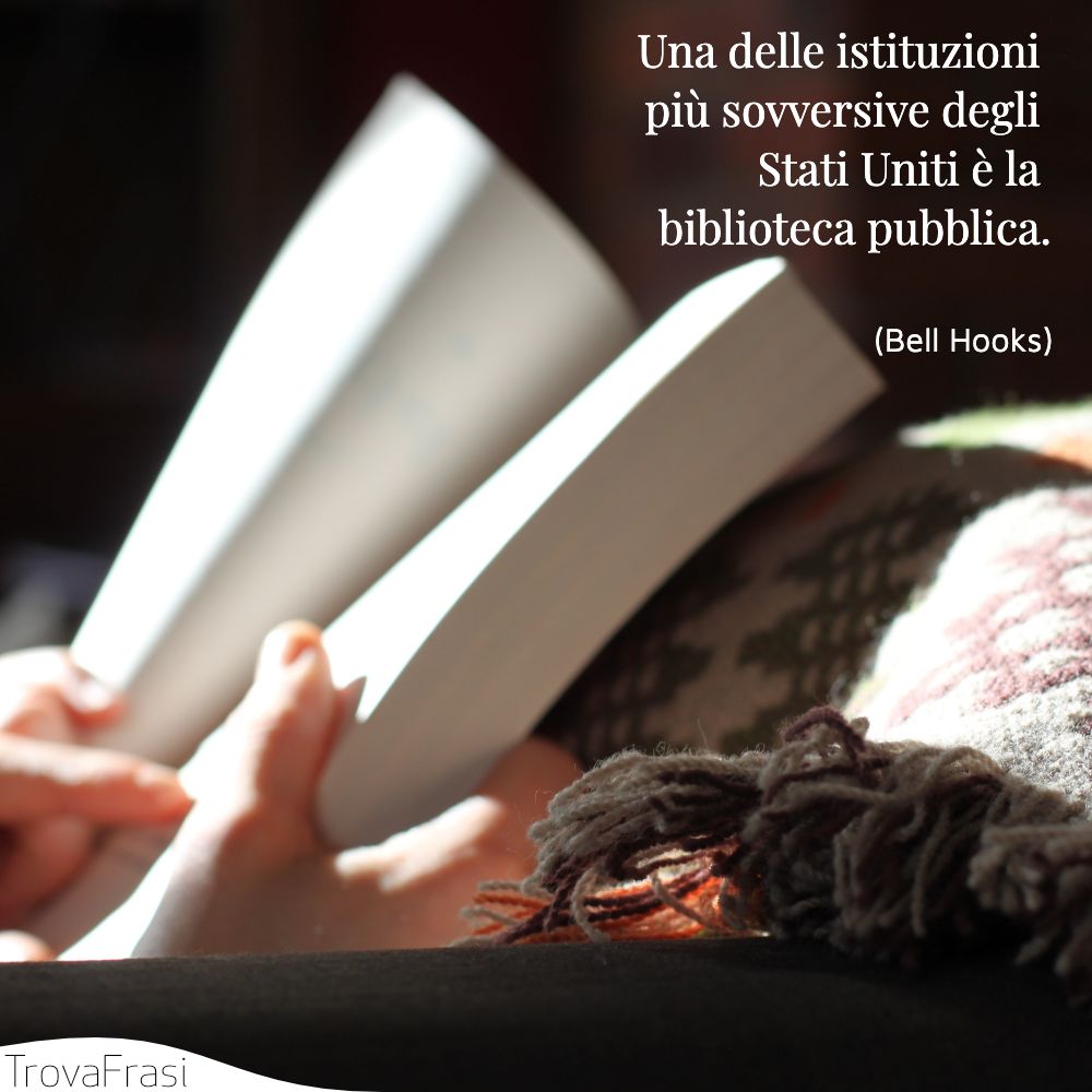 Una delle istituzioni più sovversive degli Stati Uniti è la biblioteca pubblica.