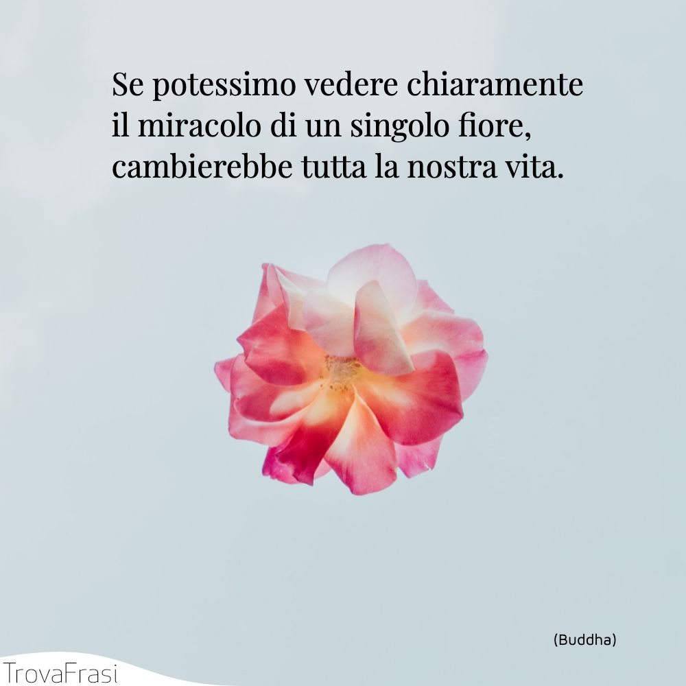 Se potessimo vedere chiaramente il miracolo di un singolo fiore, cambierebbe tutta la nostra vita.