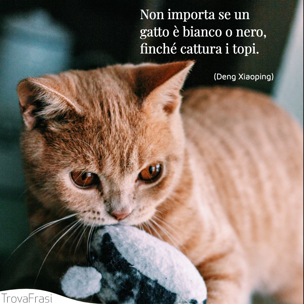 Non importa se un gatto è bianco o nero, finché cattura i topi.