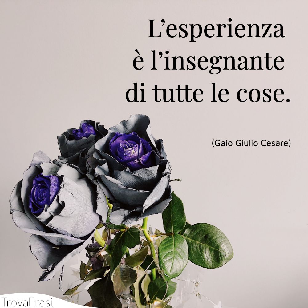 L’esperienza è l’insegnante di tutte le cose.