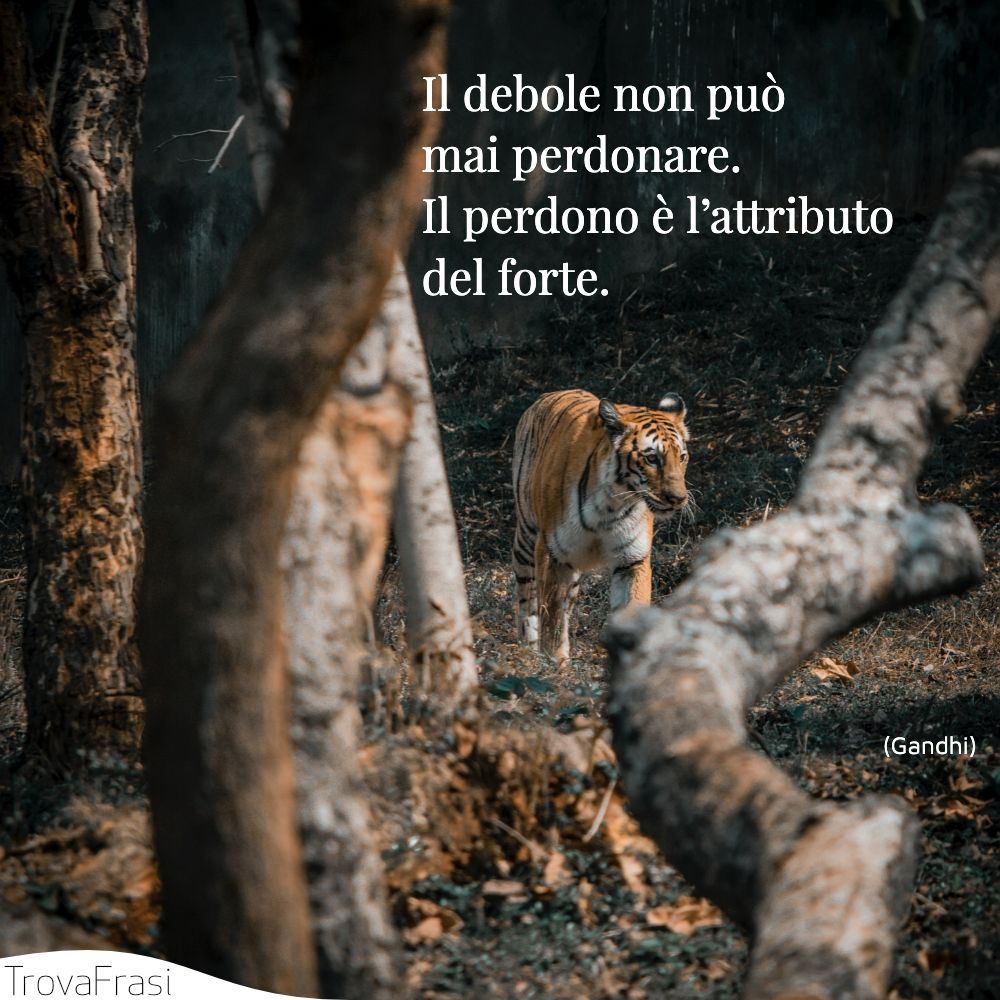 Il debole non può mai perdonare. Il perdono è l’attributo del forte.