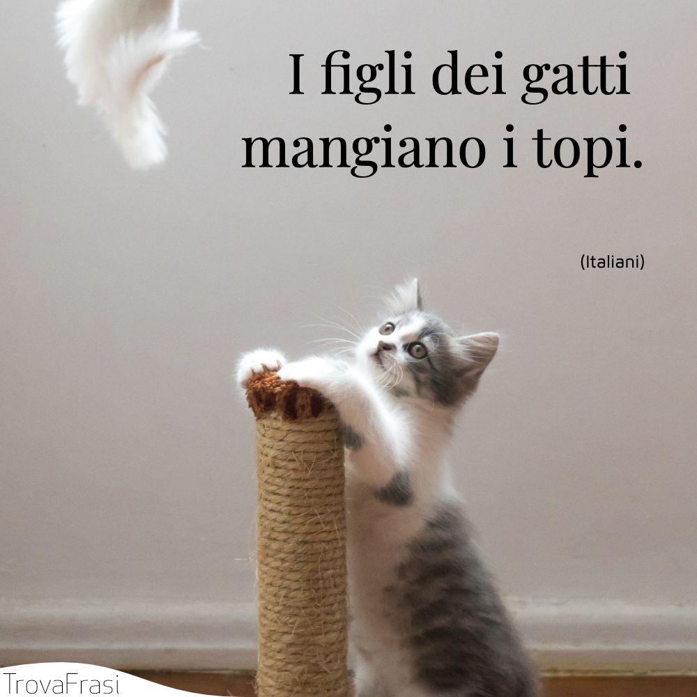 I figli dei gatti mangiano i topi.