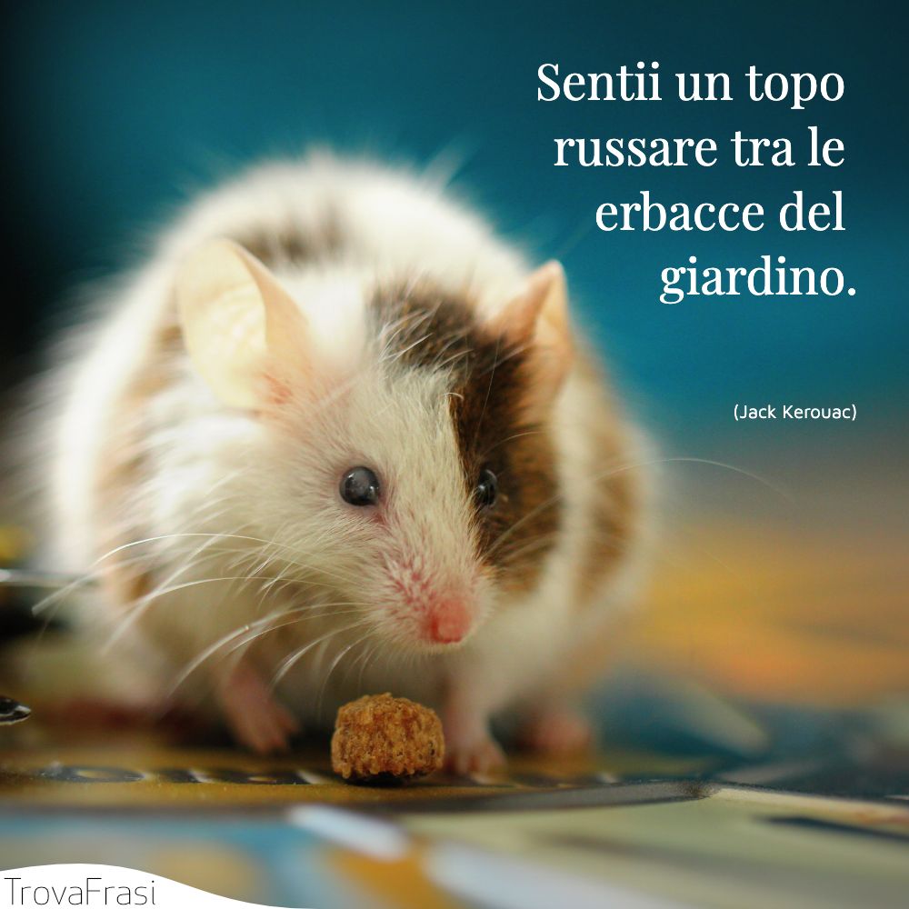 Sentii un topo russare tra le erbacce del giardino.