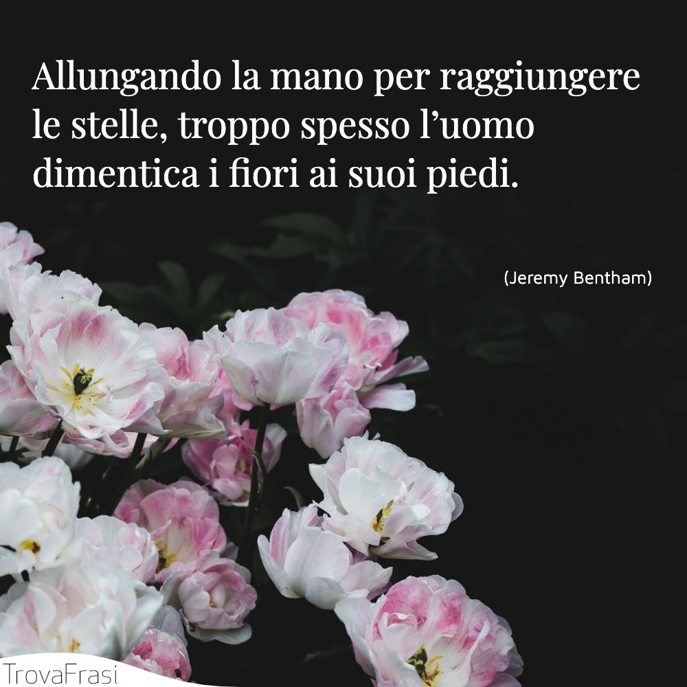 Allungando la mano per raggiungere le stelle, troppo spesso l’uomo dimentica i fiori ai suoi piedi.