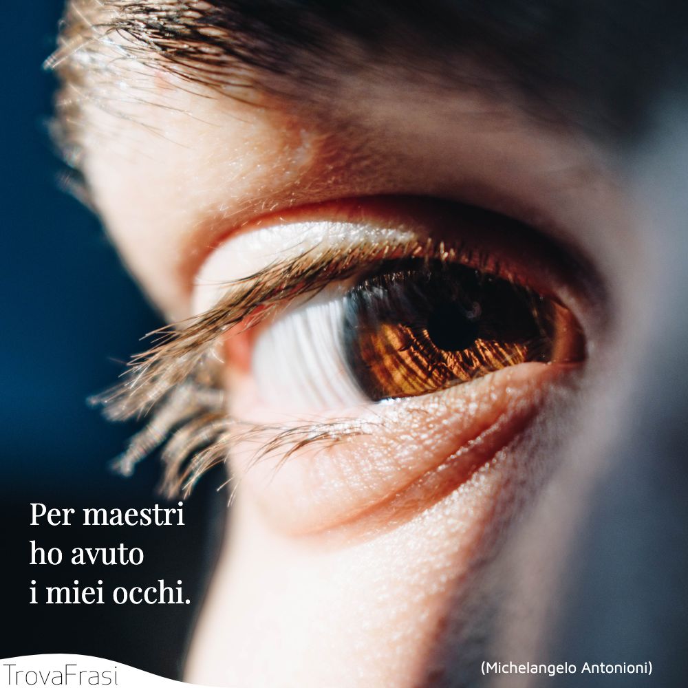 Per maestri ho avuto i miei occhi.