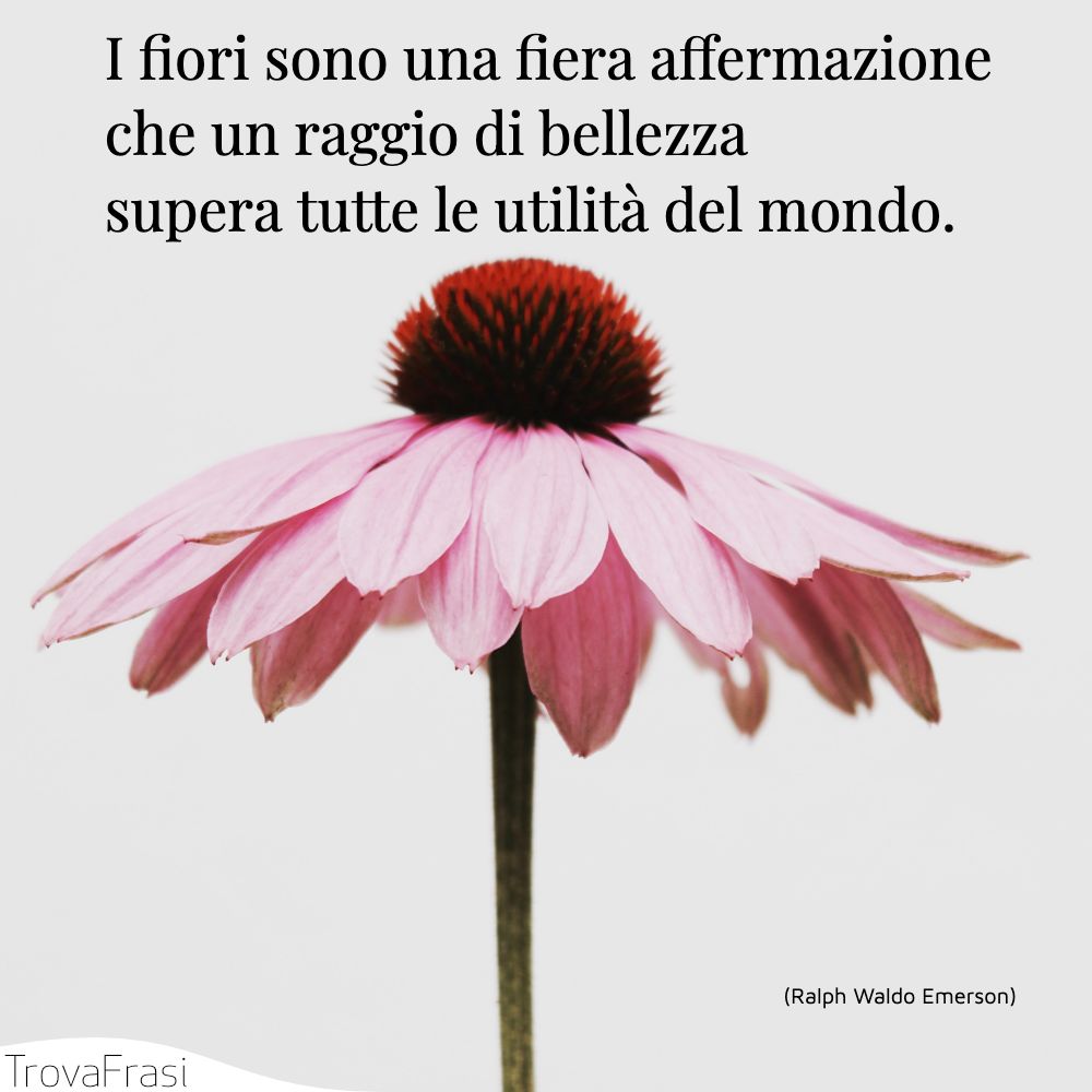 I fiori sono una fiera affermazione che un raggio di bellezza supera tutte le utilità del mondo.