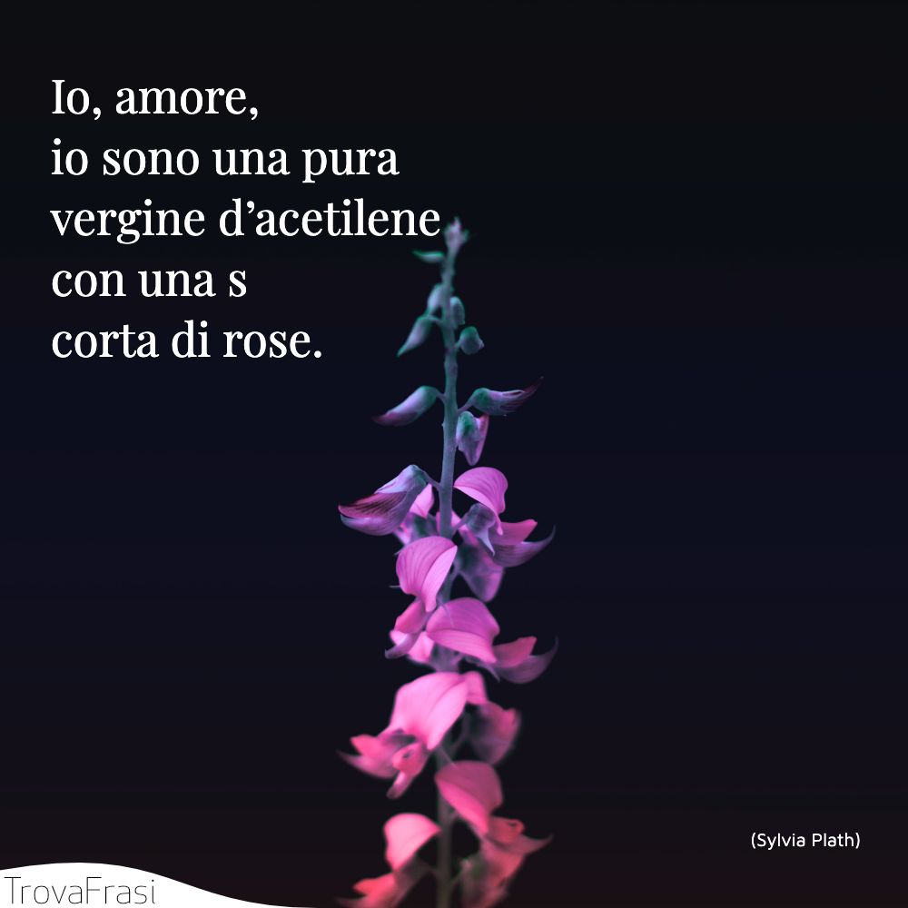 Io, amore, io sono una pura vergine d’acetilene con una scorta di rose.