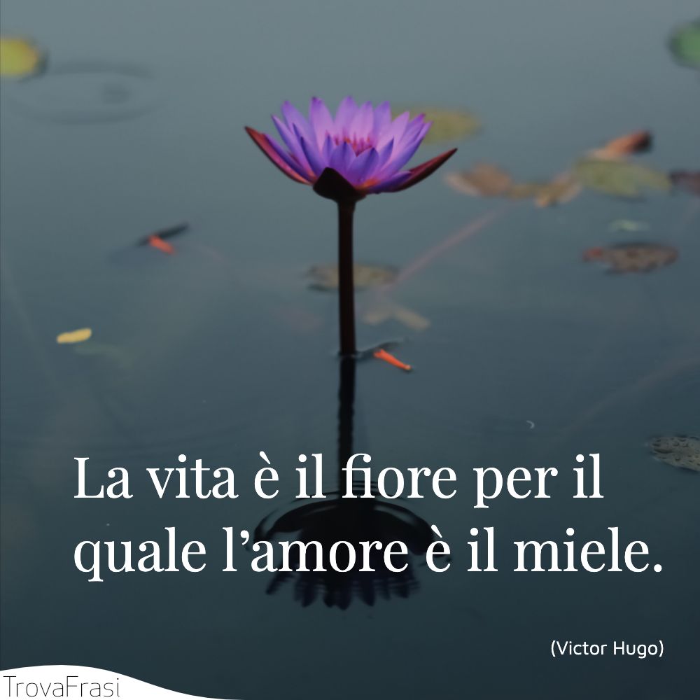 La vita è il fiore per il quale l’amore è il miele.