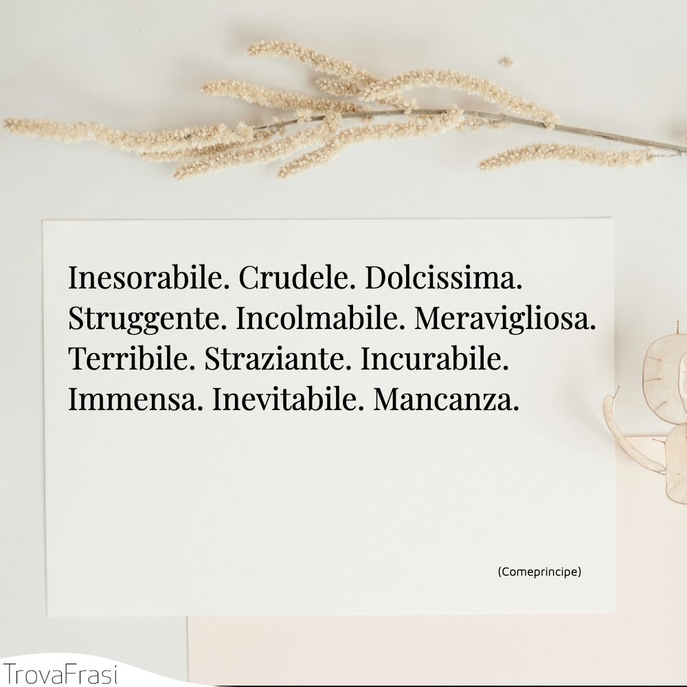 Inesorabile. Crudele. Dolcissima. Struggente. Incolmabile. Meravigliosa. Terribile. Straziante. Incurabile. Immensa. Inevitabile. Mancanza.