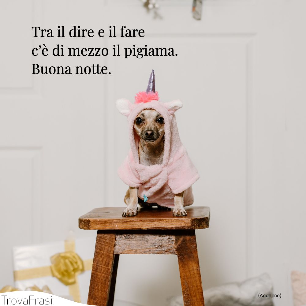 Tra il dire e il fare c’è di mezzo il pigiama. Buona notte.